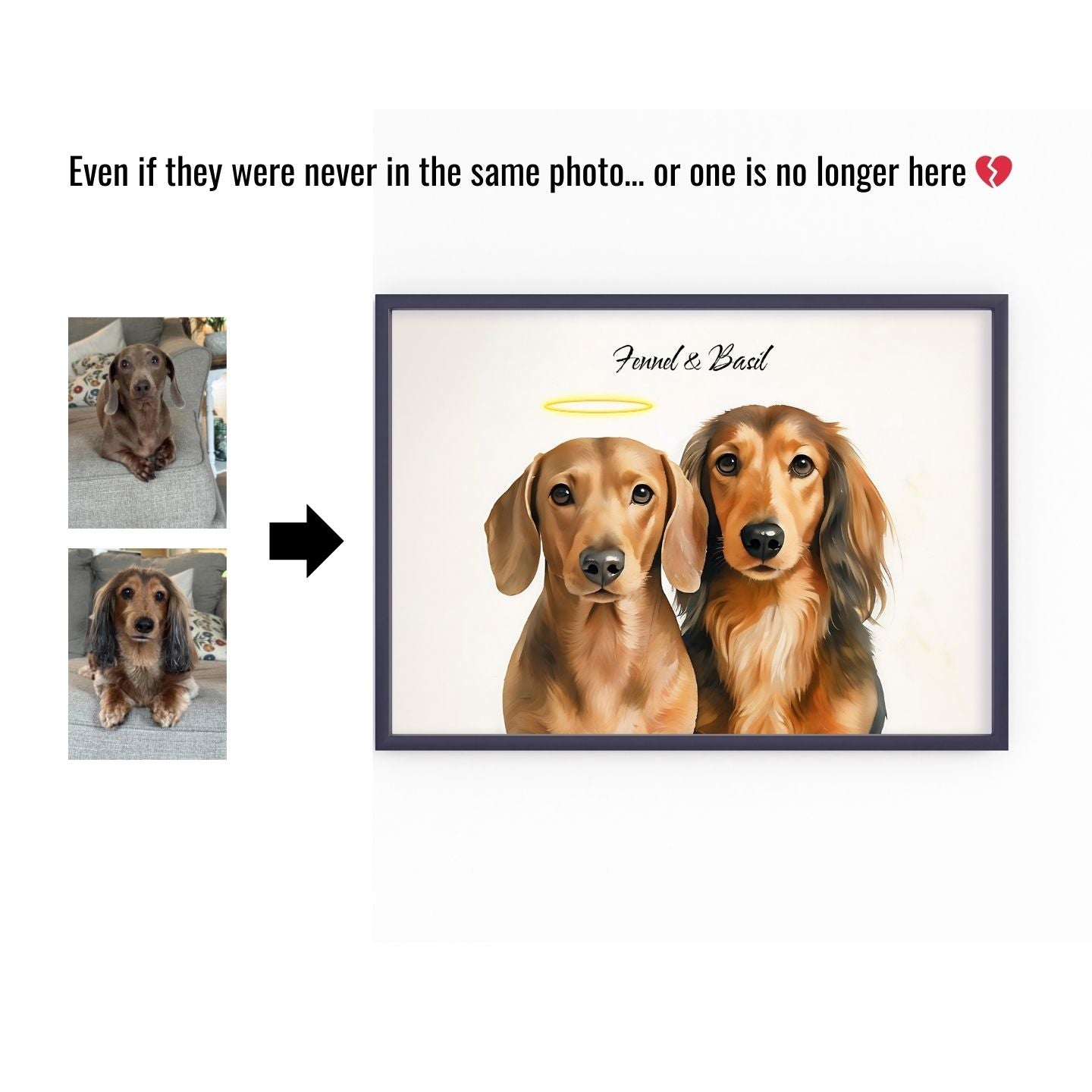 Watercolor & Illustrated Pet Portrait from Photo