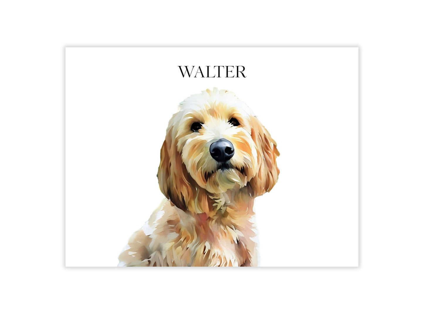 Watercolor & Illustrated Pet Portrait from Photo