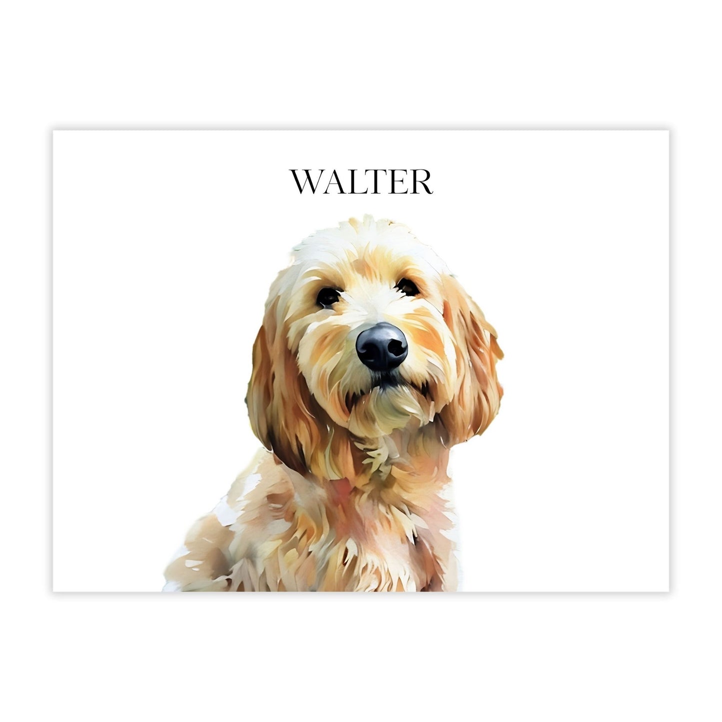 Watercolor & Illustrated Pet Portrait from Photo