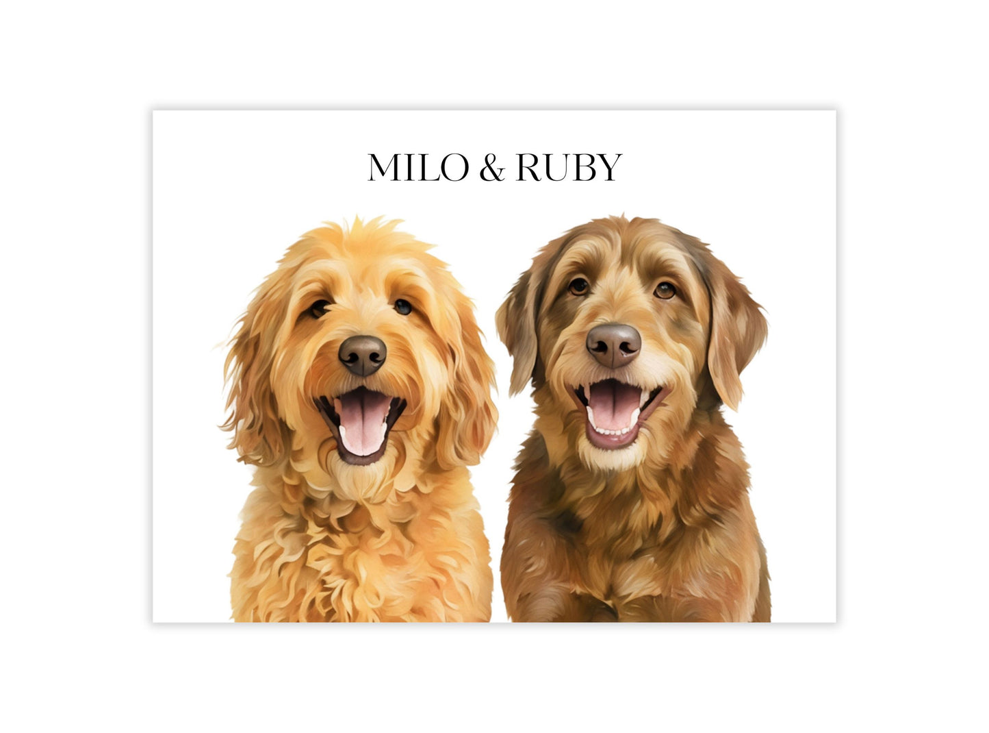 Watercolor & Illustrated Pet Portrait from Photo