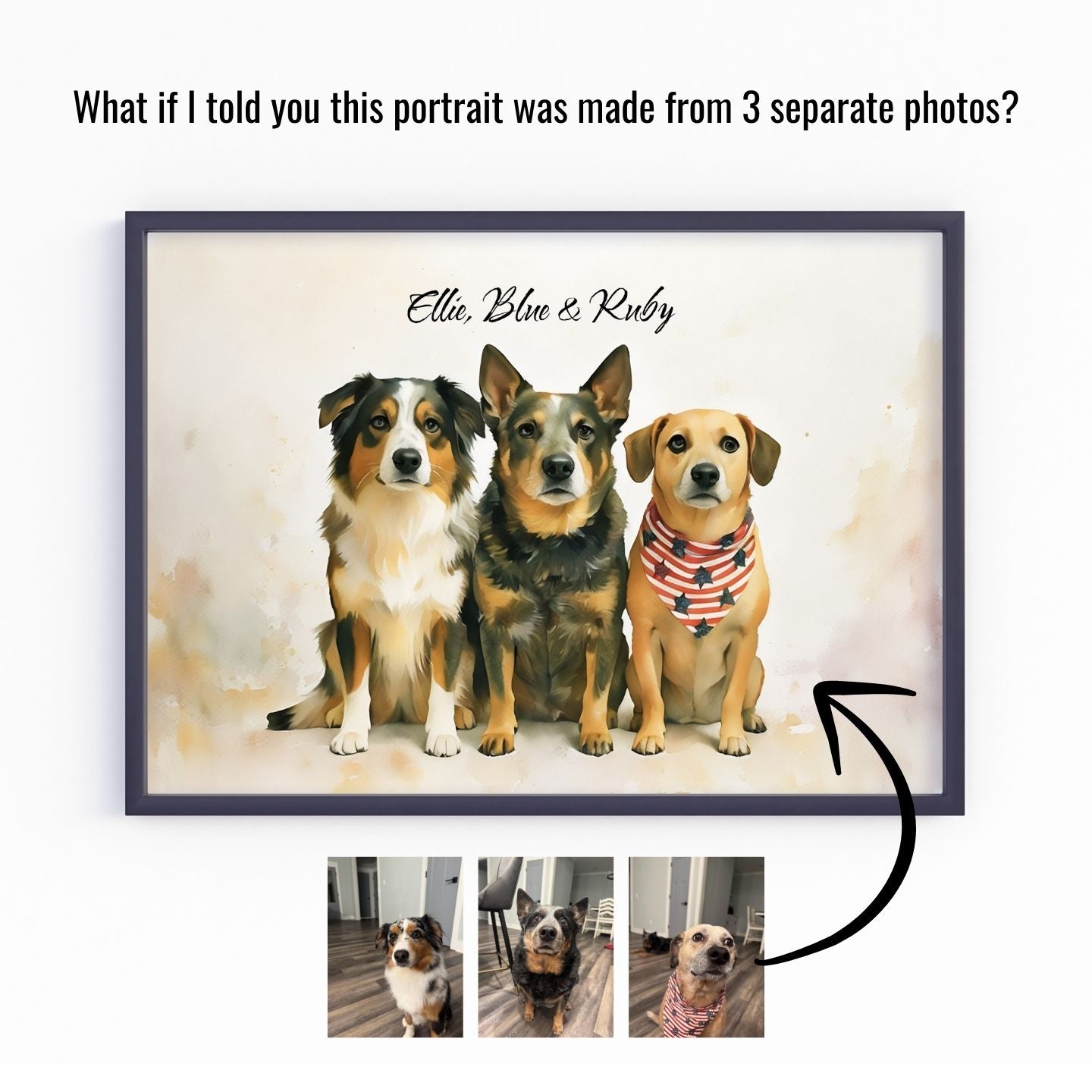 Watercolor & Illustrated Pet Portrait from Photo