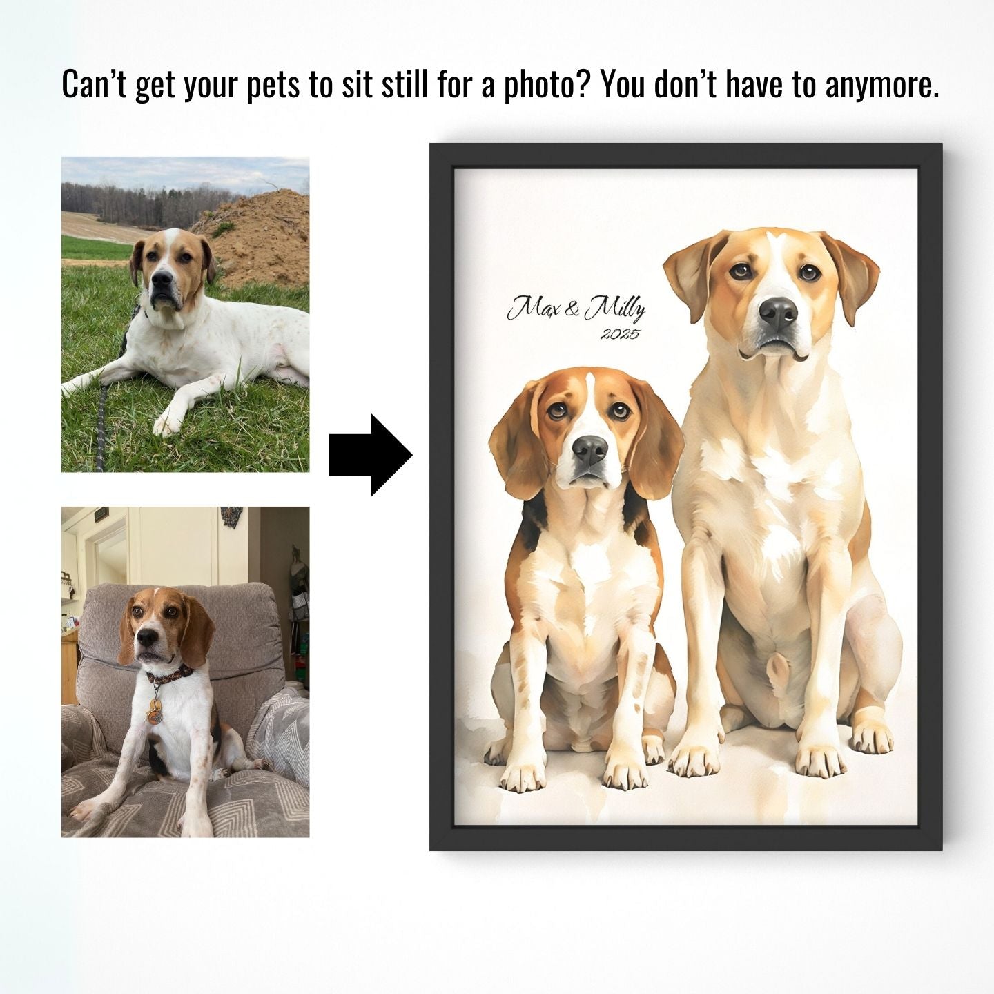 Watercolor & Illustrated Pet Portrait from Photo