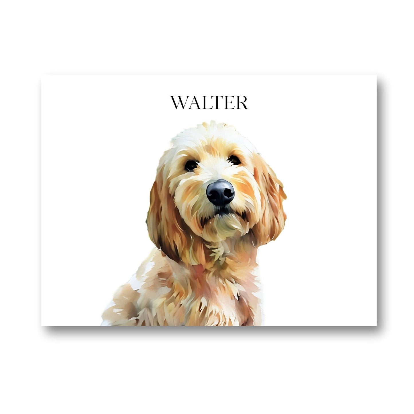 Watercolor & Illustrated Pet Portrait from Photo