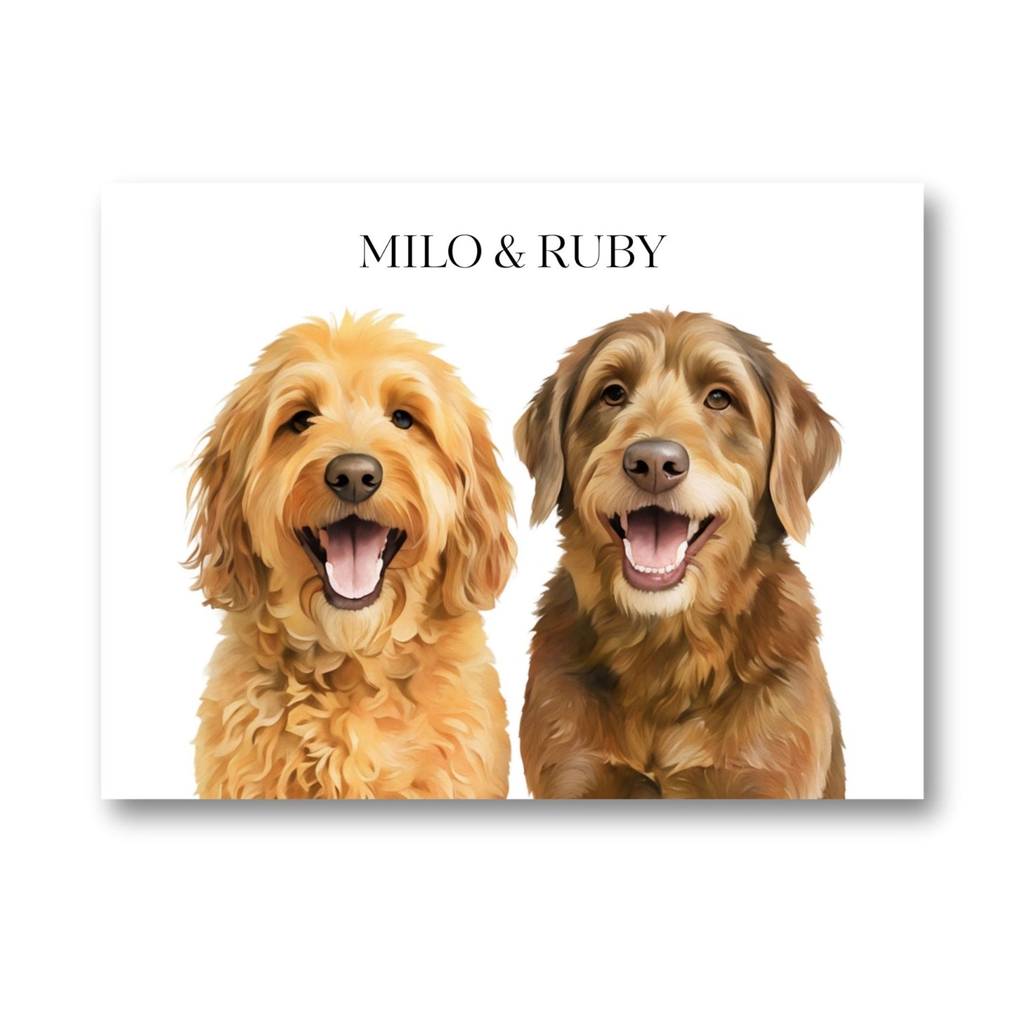 Watercolor & Illustrated Pet Portrait from Photo