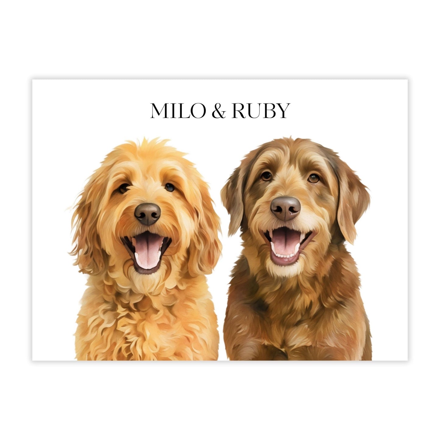 Watercolor & Illustrated Pet Portrait from Photo