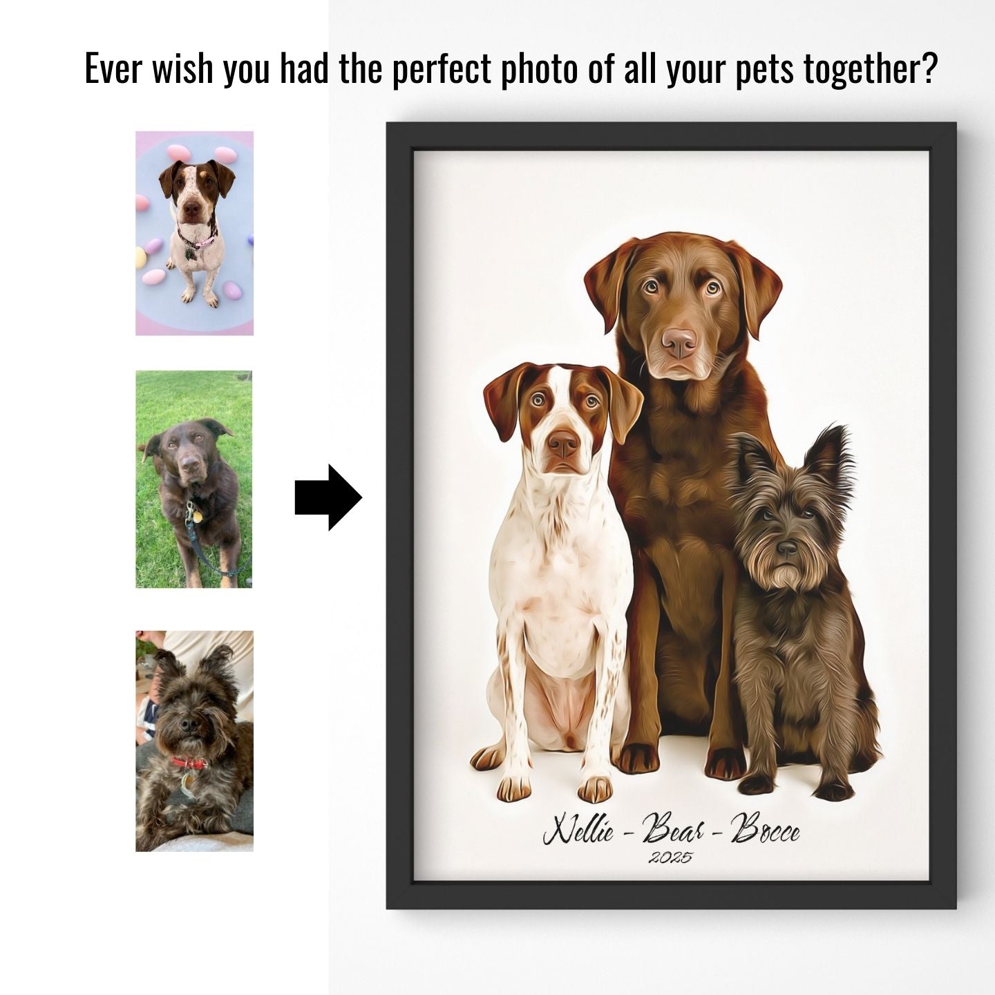 Watercolor & Illustrated Pet Portrait from Photo